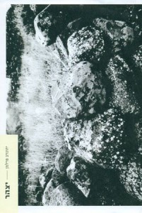 עטיפת הספר בהוצאת "עמדה חדשה" על הכריכה: חדוה שפרעם, רמת הגולן, 2006 עורך: עמוס אדלהייט